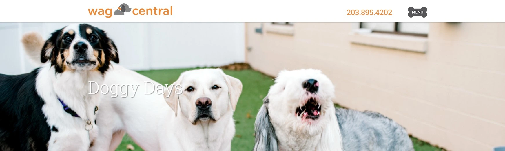 3. Catchy Pet Store Names